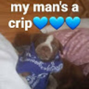 Meet your Posher, Mad red